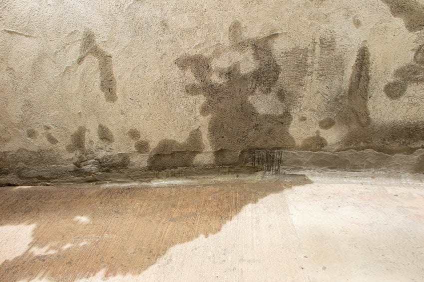 A crawl space in need of encapsulation